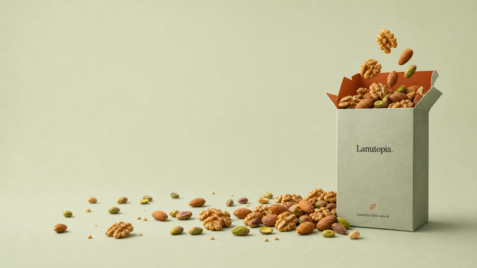 Caja de Lanutopia con almendras, nueces y pistachos naturales